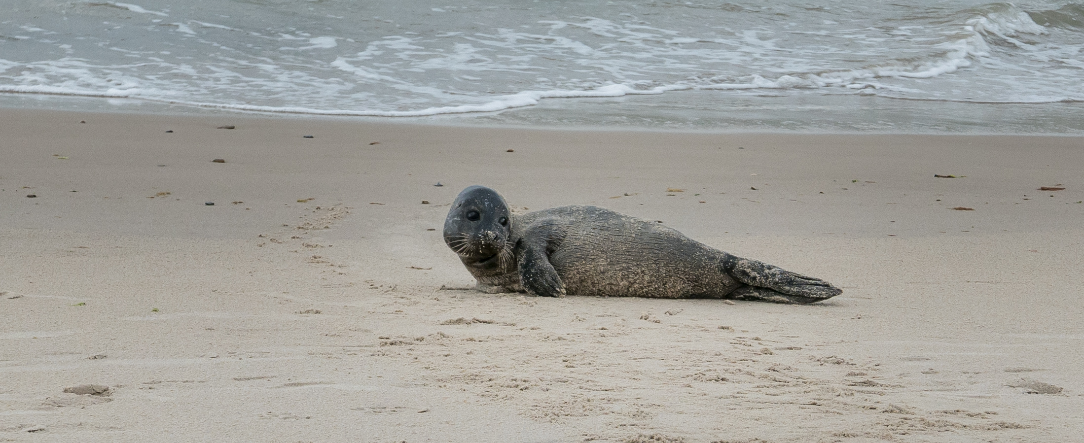 Skagen, la pointe Nord du Danemark