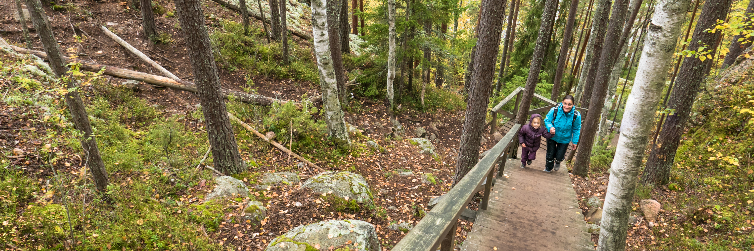 Le Fox Trail dans le Parc national de Repovesi Le Fox Trail dans le Parc national de Repovesi