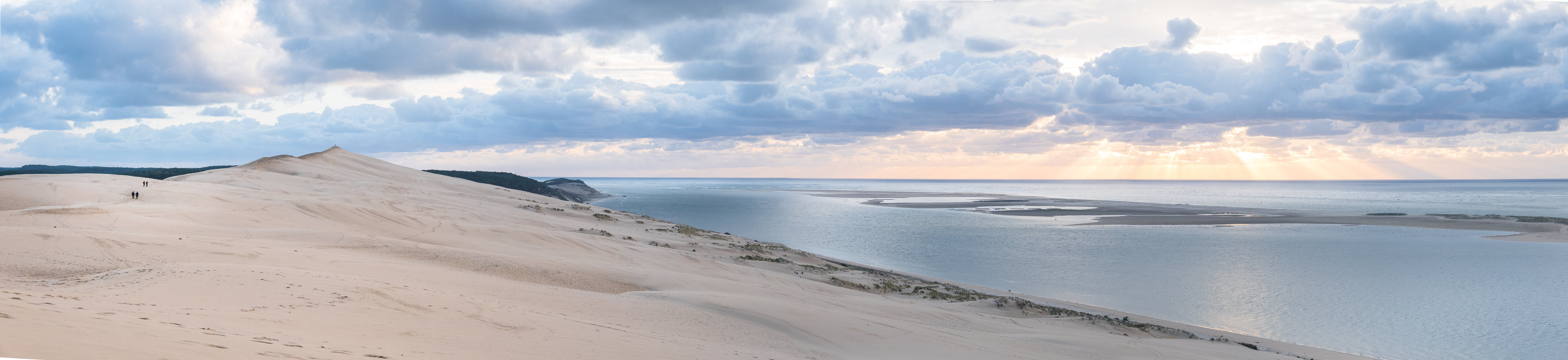 Sur la route des oies sauvages vers les Landes // France