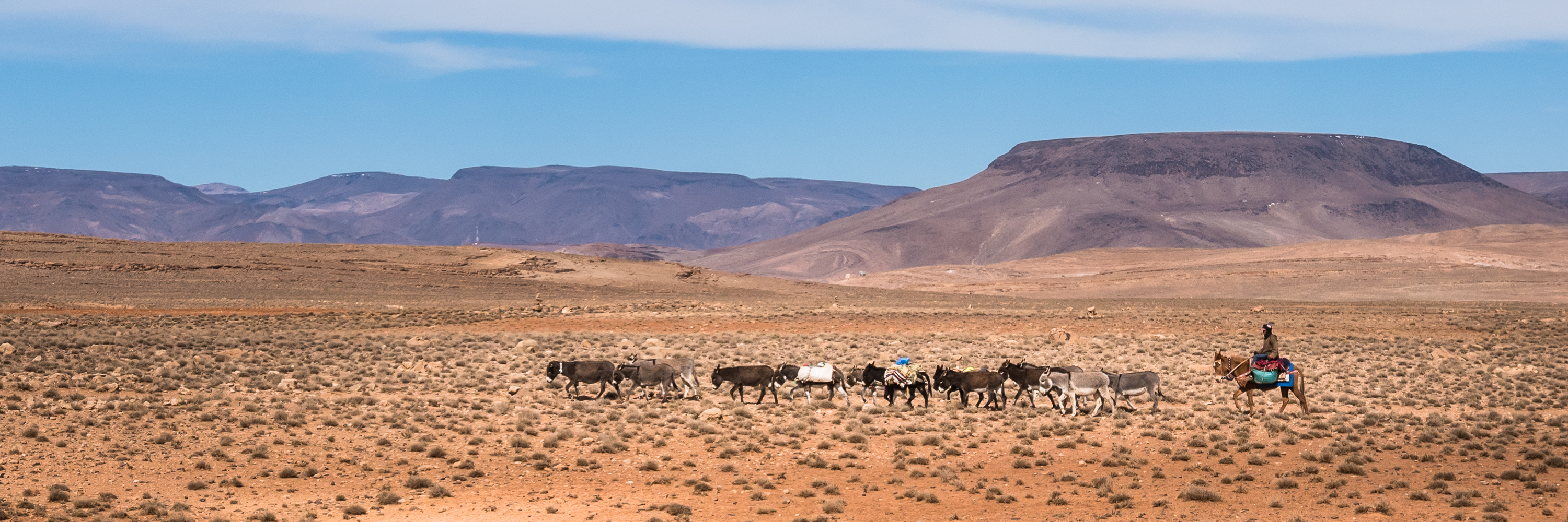 De Ouarzazate vers l’Atlantique // Maroc