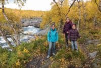 Parc national d'Abisko