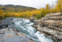 Parc national d'Abisko