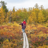 Parc national d'Abisko