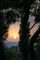 Quartier de Plaka à Athènes // Grèce