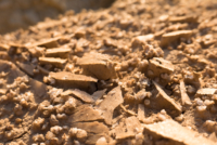 Désert des Bardenas Reales