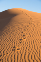 Aux portes du désert / Erg Chebbi