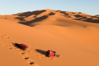 Aux portes du désert / Erg Chebbi