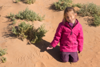 Aux portes du désert / Erg Chebbi