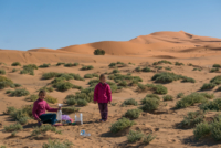 Aux portes du désert / Erg Chebbi