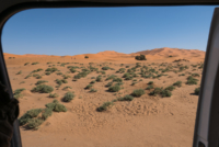 Aux portes du désert / Erg Chebbi