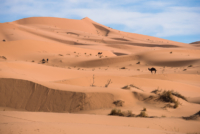 Aux portes du désert / Erg Chebbi