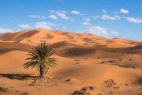 Aux portes du désert / Erg Chebbi