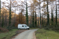 Parc naturel de Gorbeia