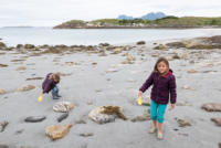 Bodø