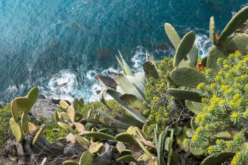 Corniglia