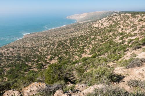 Sur les falaises de Tafedna