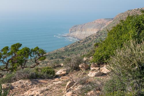 Sur les falaises de Tafedna