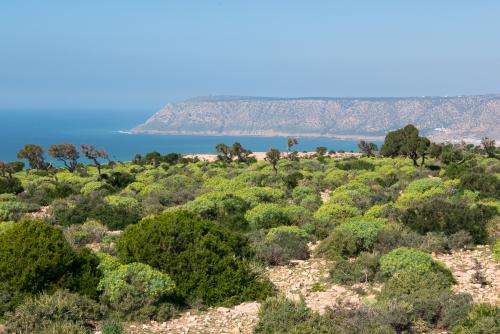 Sur les falaises de Tafedna