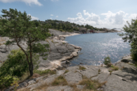 04 Donvannet