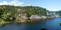 12 Donvannet