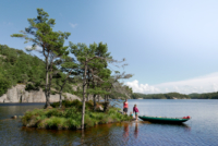 15 Donvannet