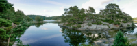 20 Donvannet