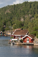 20 Donvannet