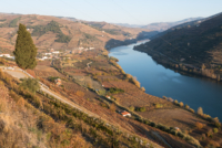 La vallée du Douro