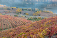 La vallée du Douro