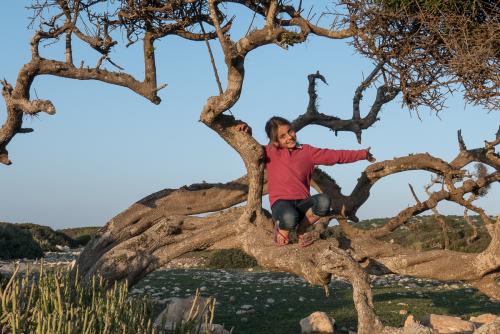 Bivouac près de Essaouira