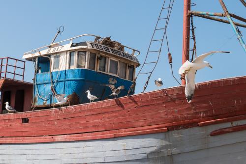 Redécouverte d'Essaouira