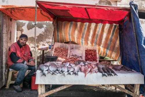 Redécouverte d'Essaouira