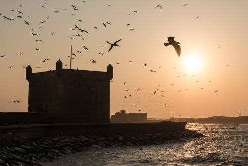 Redécouverte d'Essaouira