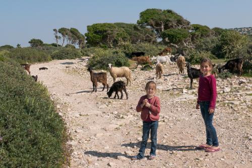 Bivouac près d'Essaouira