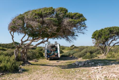 Bivouac près d'Essaouira