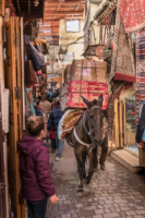 Médina de Fès