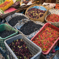 Médina de Fès