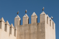 Fès Jdid