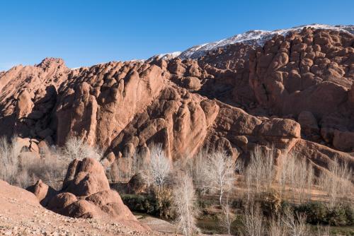 20180203-dades-00003
