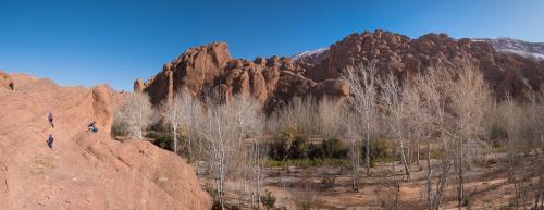 20180204-dades-00025