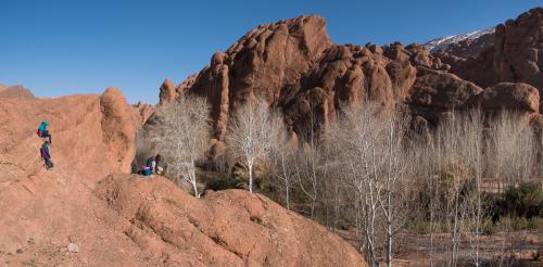 20180204-dades-00026