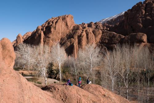 20180204-dades-00027