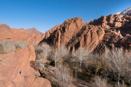 20180204-dades-00028