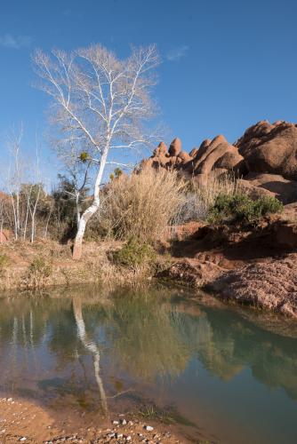 20180204-dades-00029