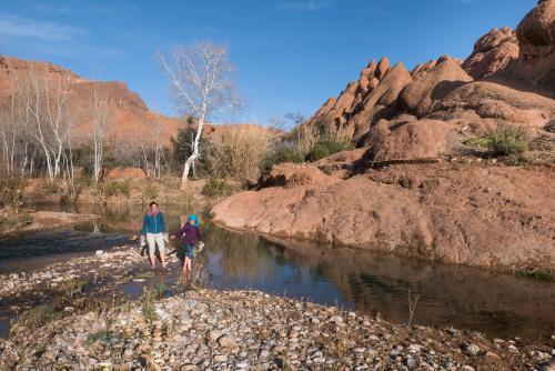 20180204-dades-00030
