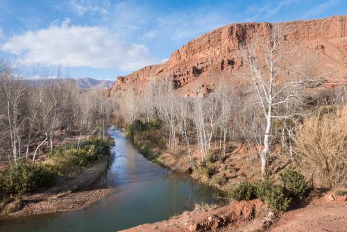 20180204-dades-00031