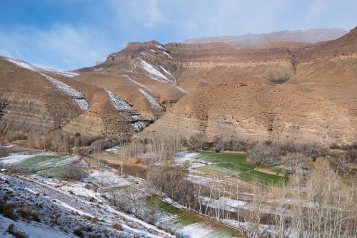 20180205-dades-00046