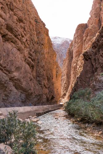 20180205-dades-00050