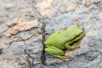 Dans la région de Mértola