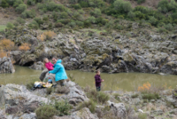 Dans la région de Mértola